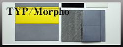 TYP/Morpho 